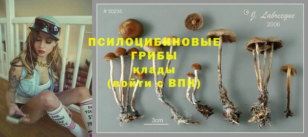 мдма Киреевск