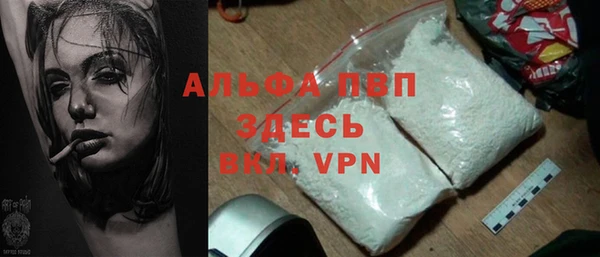 индика Киренск