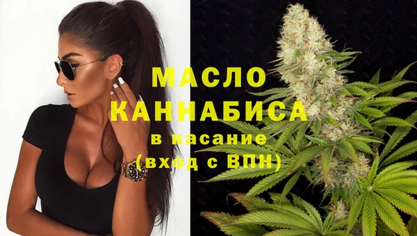 индика Киренск