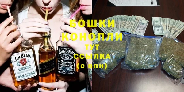 индика Киренск