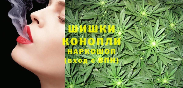 индика Киренск