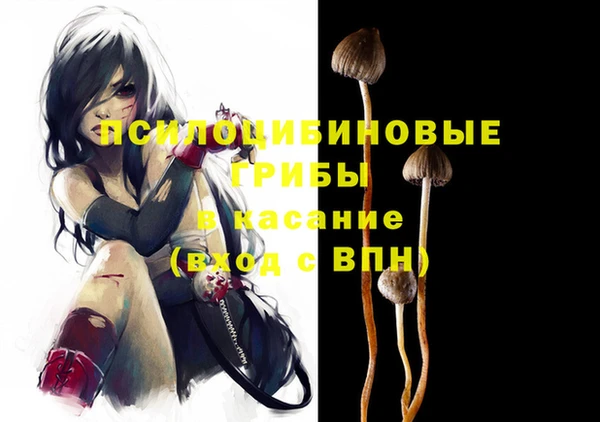 индика Киренск